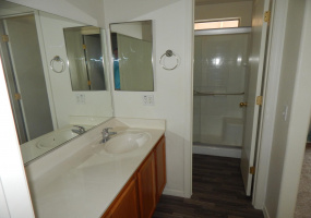 5173 S Via Laguna Blanca, Tucson, Arizona 85706, 3 Bedrooms Bedrooms, ,2 BathroomsBathrooms,Home,For Rent,S Via Laguna Blanca,1989