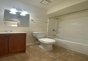 167 Wedwick Street, Tucson, Arizona 85706, 3 Bedrooms Bedrooms, ,1.5 BathroomsBathrooms,Home,For Rent,Wedwick,2000