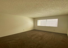 167 Wedwick Street, Tucson, Arizona 85706, 3 Bedrooms Bedrooms, ,1.5 BathroomsBathrooms,Home,For Rent,Wedwick,2000