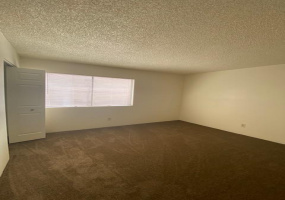 167 Wedwick Street, Tucson, Arizona 85706, 3 Bedrooms Bedrooms, ,1.5 BathroomsBathrooms,Home,For Rent,Wedwick,2000