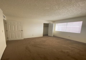 167 Wedwick Street, Tucson, Arizona 85706, 3 Bedrooms Bedrooms, ,1.5 BathroomsBathrooms,Home,For Rent,Wedwick,2000