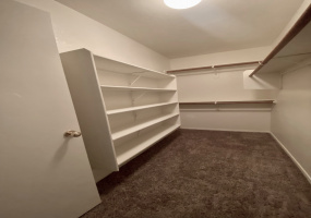 10534 E Dusky Willow Dr, Tucson, Arizona 85747, 3 Bedrooms Bedrooms, ,2 BathroomsBathrooms,Home,For Rent,E Dusky Willow Dr,2279