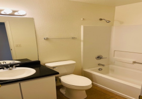 7398 Messala Court, Tucson, Arizona 85746, 3 Bedrooms Bedrooms, ,2 BathroomsBathrooms,Home,For Rent,Messala,2417