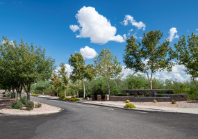 9230 S Big Tree Lane, Tucson, Arizona 85756, 3 Bedrooms Bedrooms, ,2 BathroomsBathrooms,Home,For Rent,S Big Tree Lane,2618