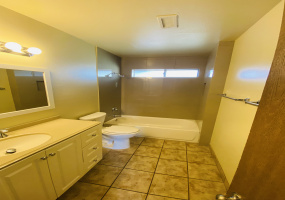 1721 E Glenn St D, Arizona 85719, 2 Bedrooms Bedrooms, ,1 BathroomBathrooms,Apartment,For Rent,E Glenn St D,2699
