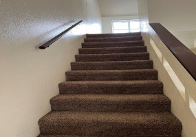 4520 E Pima St, Tucson, Arizona 85712, 1 Bedroom Bedrooms, ,1 BathroomBathrooms,Apartment,For Rent,E Pima St,2703
