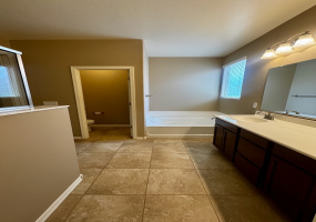 8464 N Mountain Stone Pine Way, Arizona 85743, 3 Bedrooms Bedrooms, ,2 BathroomsBathrooms,Home,For Rent,8464 N Mountain Stone Pine Way,2887