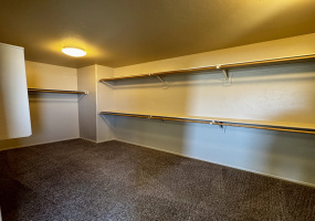 13111 E Mesquite Flat Spring Dr, Arizona, 4 Bedrooms Bedrooms, ,2 BathroomsBathrooms,Home,For Rent,13111 E Mesquite Flat Spring Dr,2893