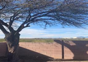 4147 Cameo Point Drive, Tucson, Arizona 85756, 5 Bedrooms Bedrooms, ,3 BathroomsBathrooms,Home,For Rent,Cameo Point,1180