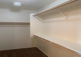 4147 Cameo Point Drive, Tucson, Arizona 85756, 5 Bedrooms Bedrooms, ,3 BathroomsBathrooms,Home,For Rent,Cameo Point,1180