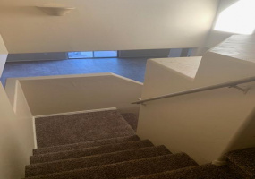4147 Cameo Point Drive, Tucson, Arizona 85756, 5 Bedrooms Bedrooms, ,3 BathroomsBathrooms,Home,For Rent,Cameo Point,1180