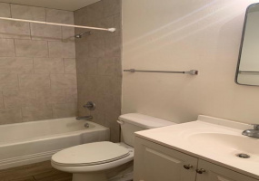 2545 Park Avenue, Tucson, Arizona 85719, 1 Bedroom Bedrooms, ,1 BathroomBathrooms,Tri-Plex,For Rent,Unit 5 ,Park,1354