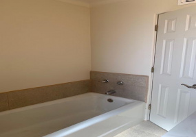 2645 Park Avenue, Tucson, Arizona 85719, 2 Bedrooms Bedrooms, ,1 BathroomBathrooms,Duplex,For Rent,Park,1399