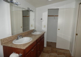 2831 E Edison St, Tucson, Arizona 85716, 3 Bedrooms Bedrooms, ,2 BathroomsBathrooms,Home,For Rent,E Edison St,1031