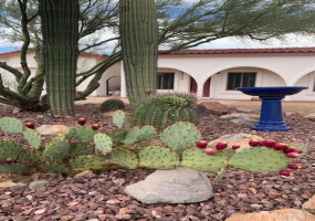6920 Wade Road, Tucson, Arizona Arizona, 1 Bedroom Bedrooms, ,1 BathroomBathrooms,Home,For Rent,Guest House ,Wade,1446