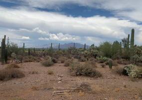 6920 Wade Road, Tucson, Arizona Arizona, 1 Bedroom Bedrooms, ,1 BathroomBathrooms,Home,For Rent,Guest House ,Wade,1446