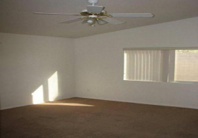 6444 E David Dr, Tucson, Arizona 85730, 3 Bedrooms Bedrooms, ,2 BathroomsBathrooms,Home,For Rent,E David Dr,1458