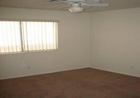 6444 E David Dr, Tucson, Arizona 85730, 3 Bedrooms Bedrooms, ,2 BathroomsBathrooms,Home,For Rent,E David Dr,1458