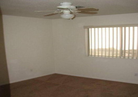 6444 E David Dr, Tucson, Arizona 85730, 3 Bedrooms Bedrooms, ,2 BathroomsBathrooms,Home,For Rent,E David Dr,1458