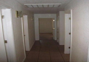 6444 E David Dr, Tucson, Arizona 85730, 3 Bedrooms Bedrooms, ,2 BathroomsBathrooms,Home,For Rent,E David Dr,1458
