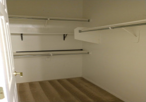 528 E Calle Escora, Tucson, Arizona 85629, 4 Bedrooms Bedrooms, ,2 BathroomsBathrooms,Home,For Rent,E Calle Escora,1530