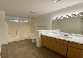 4629 S Gatwick Dr, Tucson, Arizona 85730, 3 Bedrooms Bedrooms, ,2 BathroomsBathrooms,Home,For Rent,4629 S Gatwick Dr,1565