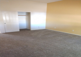 10547 S Peregrine Ridge Ct, Vail, Arizona 85641, 4 Bedrooms Bedrooms, ,3 BathroomsBathrooms,Home,For Rent,S Peregrine Ridge Ct,1580