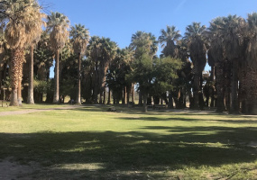 4055 N Caliente Canyon Place, Tucson, Arizona 85749, 1 Bedroom Bedrooms, ,1 BathroomBathrooms,Home,For Rent,N Caliente Canyon ,1069