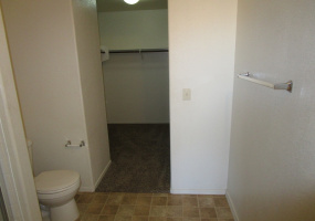 801 W Calle Ormino, Sahuarita, Arizona 85629, 4 Bedrooms Bedrooms, ,2 BathroomsBathrooms,Home,For Rent,W Calle Ormino,1823