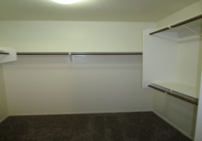 801 W Calle Ormino, Sahuarita, Arizona 85629, 4 Bedrooms Bedrooms, ,2 BathroomsBathrooms,Home,For Rent,W Calle Ormino,1823