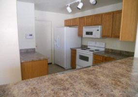 6898 S Copper Bloom, Tucson, Arizona 85756, 4 Bedrooms Bedrooms, ,2 BathroomsBathrooms,Home,For Rent,S Copper Bloom,1828