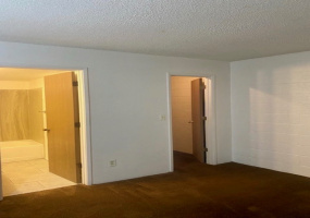 5770 S Jeanette Blvd, Tucson, Arizona 85706, 1 Bedroom Bedrooms, ,1 BathroomBathrooms,Apartment,For Rent,S Jeanette Blvd,1948