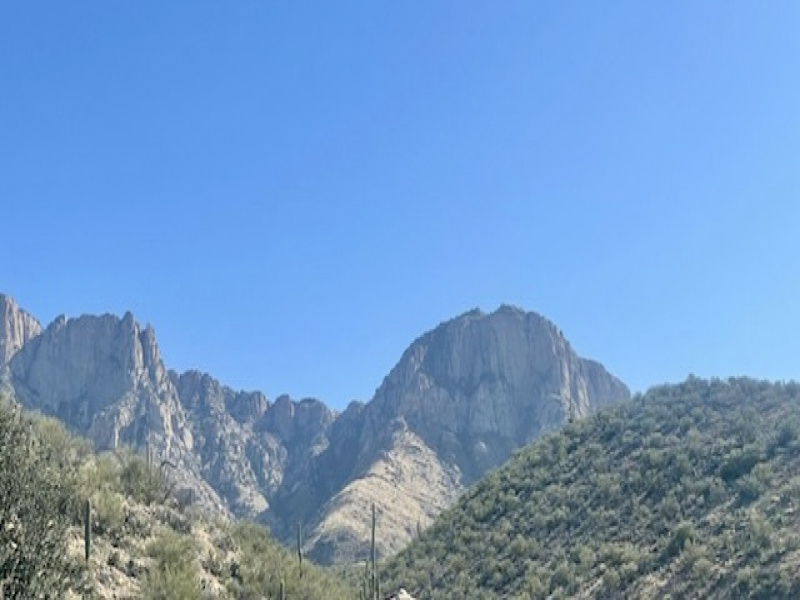 2301 E Ram Rock Rd, Arizona 85737, 3 Bedrooms Bedrooms, ,2 BathroomsBathrooms,Home,For Rent,2301 E Ram Rock Rd,2589