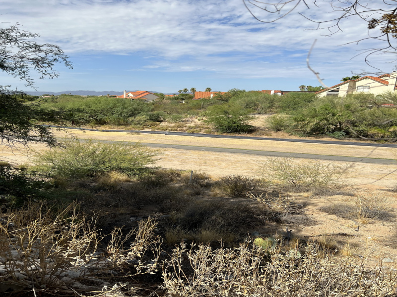 11087 N Desert Flower Dr, Tucson, Arizona 85737, 2 Bedrooms Bedrooms, ,2 BathroomsBathrooms,Home,For Rent,N Desert Flower Dr,2678